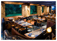 Disneys Epcot - Dining - Coral Reef Restaurant